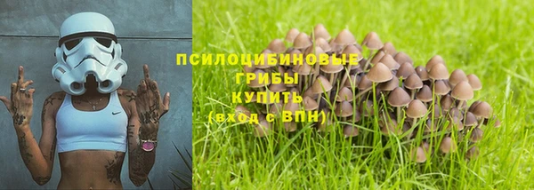 соль курить ск Бородино