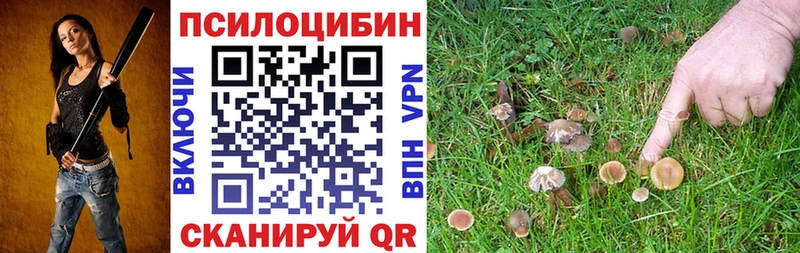 Купить  Октябрьский  Псилоцибиновые грибы мицелий 